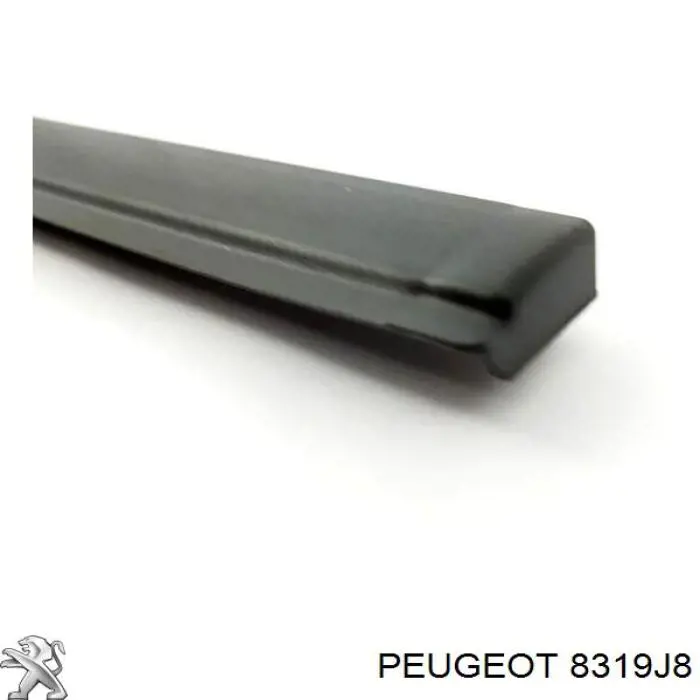 8319J8 Peugeot/Citroen 