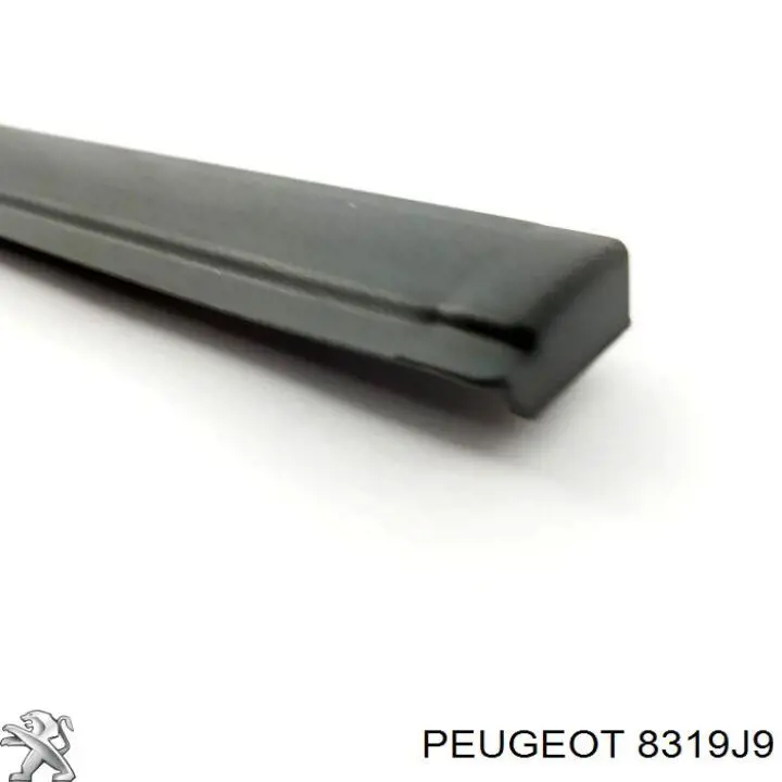  8319J9 Peugeot/Citroen