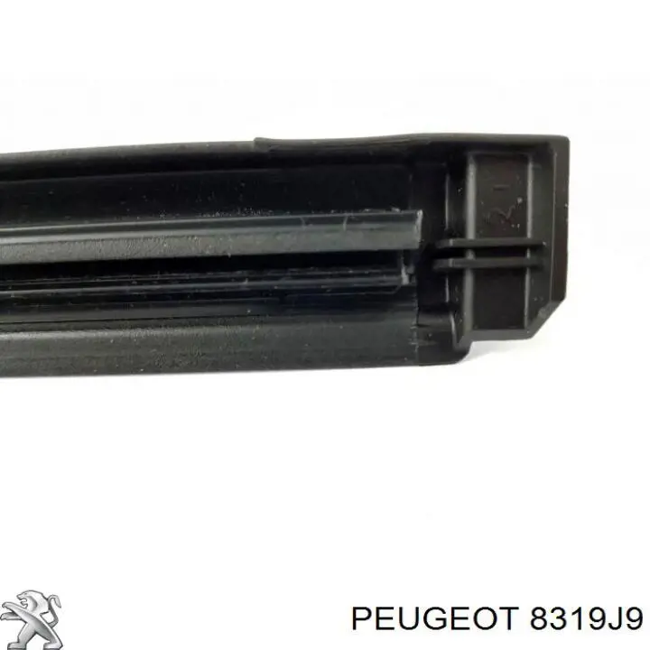  Peugeot/Citroen 8319J9