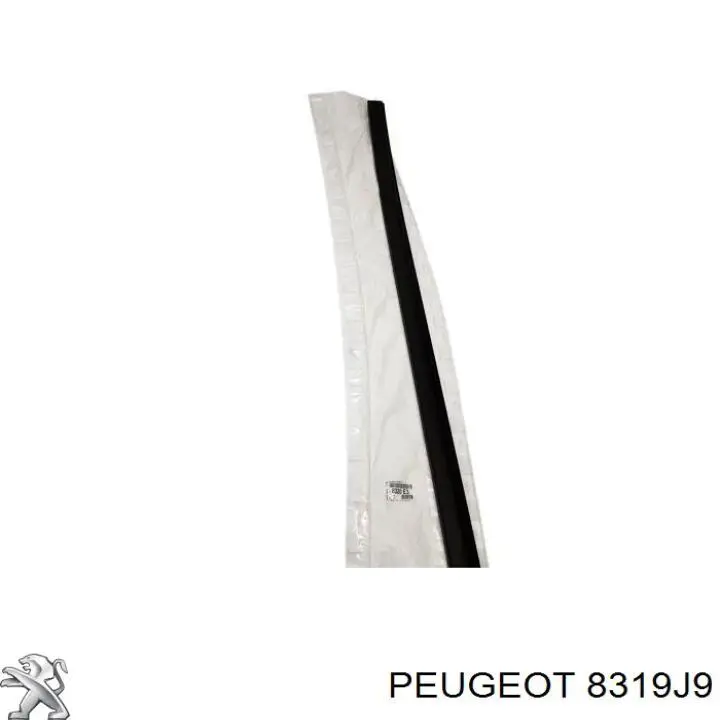  Peugeot/Citroen 8319J9 цена, от 39.45 USD
