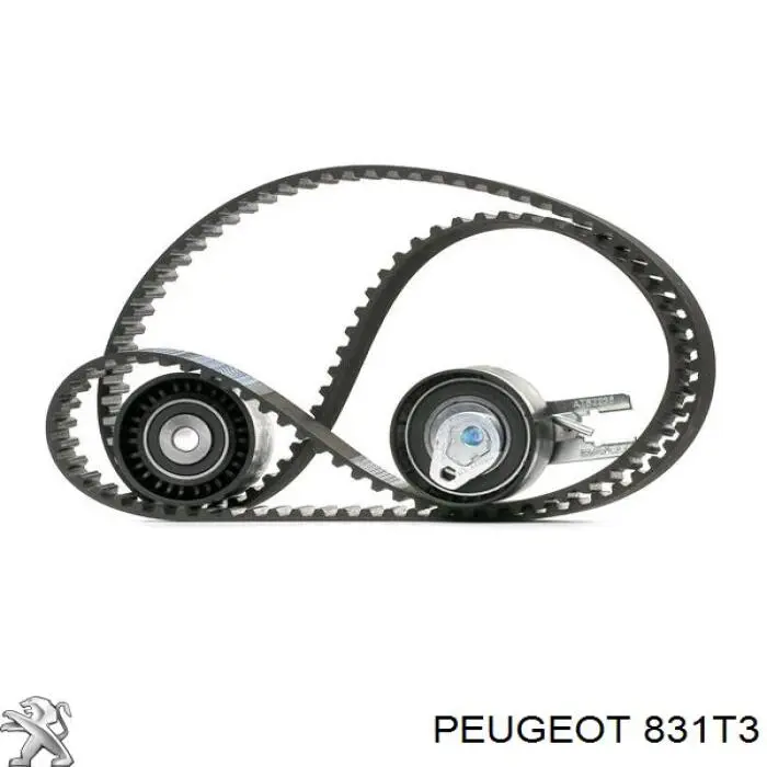 831T3 Peugeot/Citroen комплект грм
