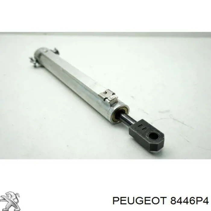 8446P4 Peugeot/Citroen 