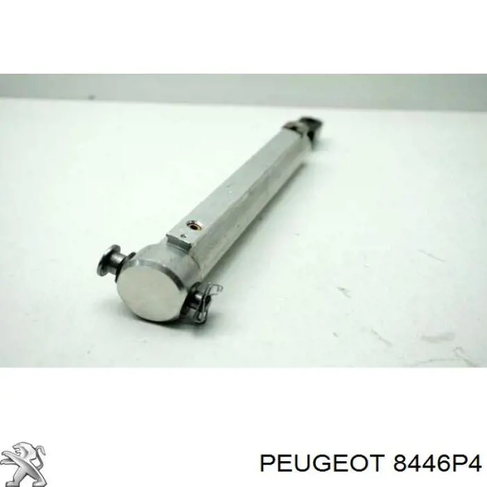 8446P4 Peugeot/Citroen