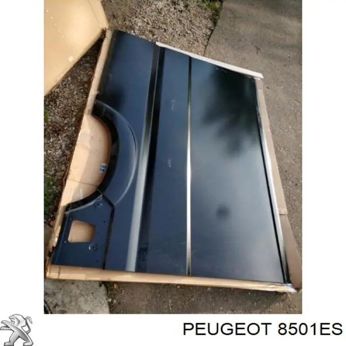 Панель кузова левая Peugeot/Citroen 8501ES цена, от 526.55 USD