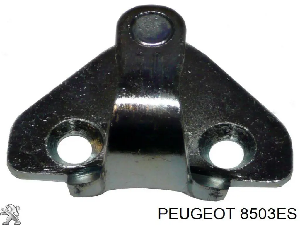 Петля-зацеп (ответная часть) замка двери передней Peugeot/Citroen 8503ES цена, от 24.74 USD