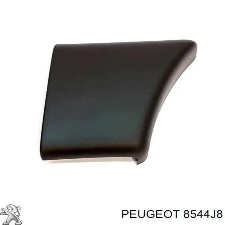 Купить 8544J8 Peugeot/Citroen Молдинг крыла переднего правого