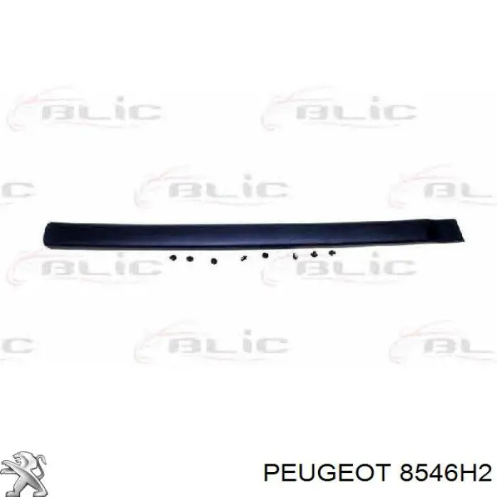 Молдинг двери задней левой WPI PB2918 цена, от 15.34 USD