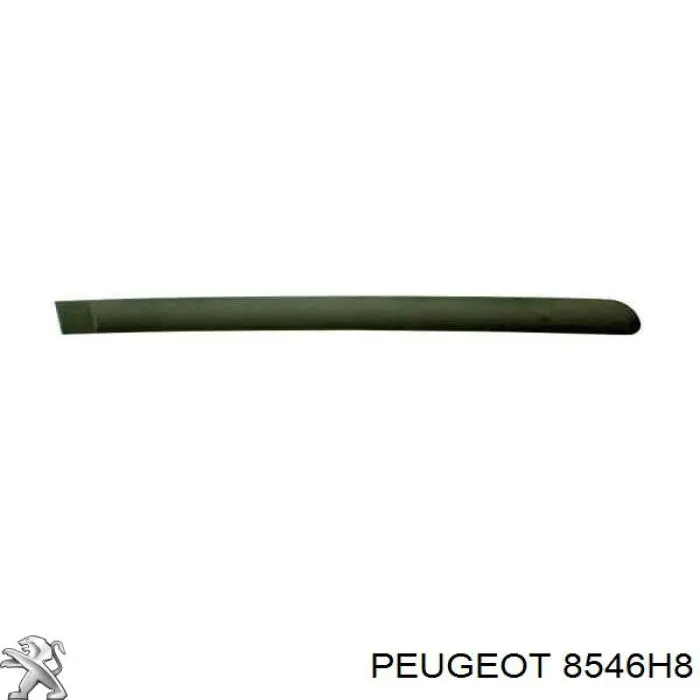 57100044 Polcar Молдинг двери задней правой