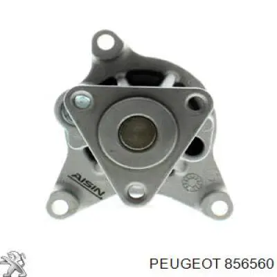 856560 Peugeot/Citroen пистон (клип крепления молдинга двери)