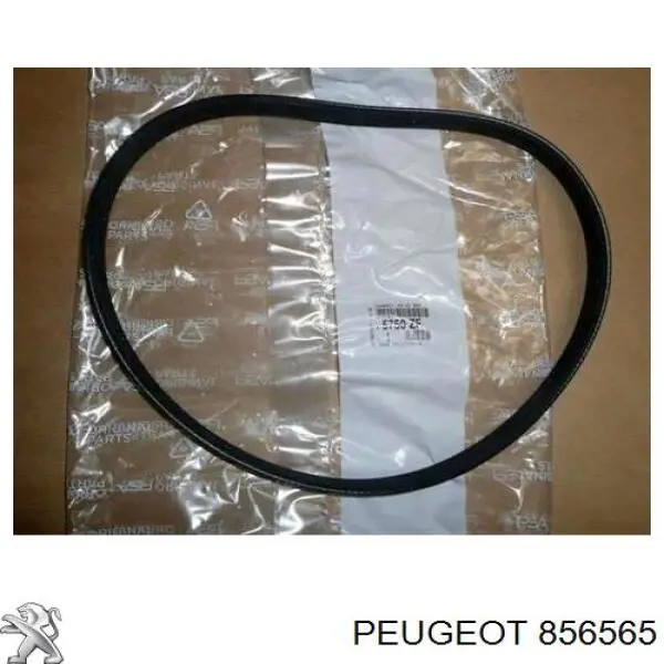 Купить 856565 Peugeot/Citroen Пистон (клип) крепления подкрылка заднего крыла