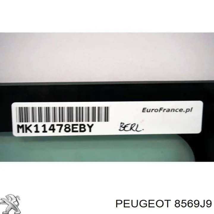 Стекло багажника, левое Peugeot/Citroen 8569J9 цена, от 12.94 USD