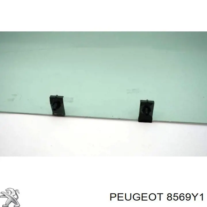 8569Y1 Peugeot/Citroen