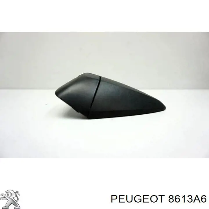 Bisagra de puerta de maletero 8613A6 Peugeot/Citroen