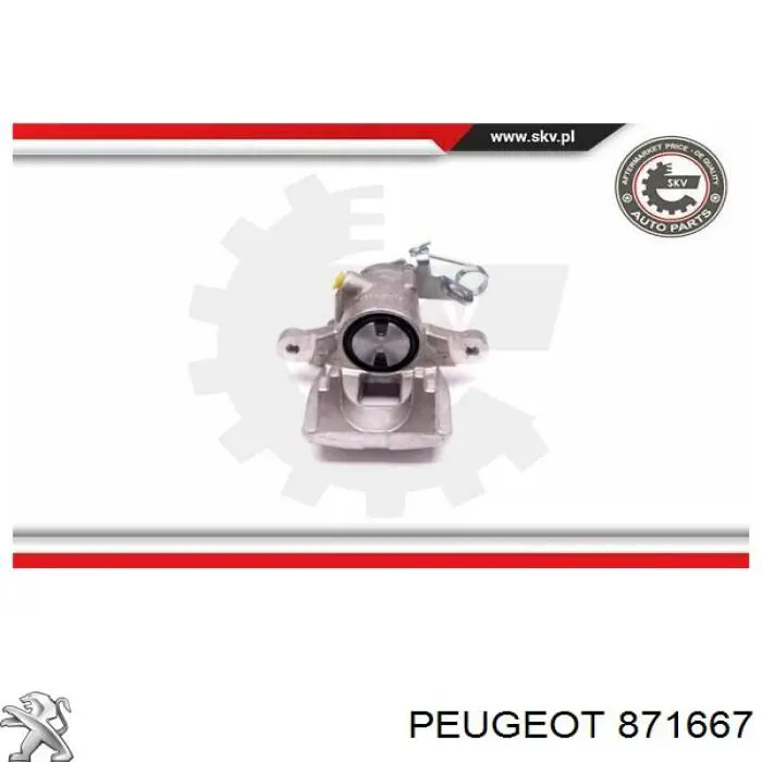  Peugeot/Citroen 871667