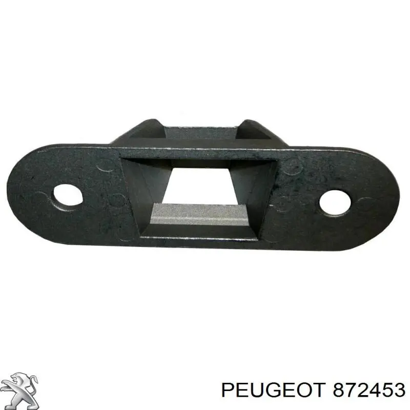Guía, botón de enclavamiento, puerta de batientes trasera izquierda inferior 872453 Peugeot/Citroen