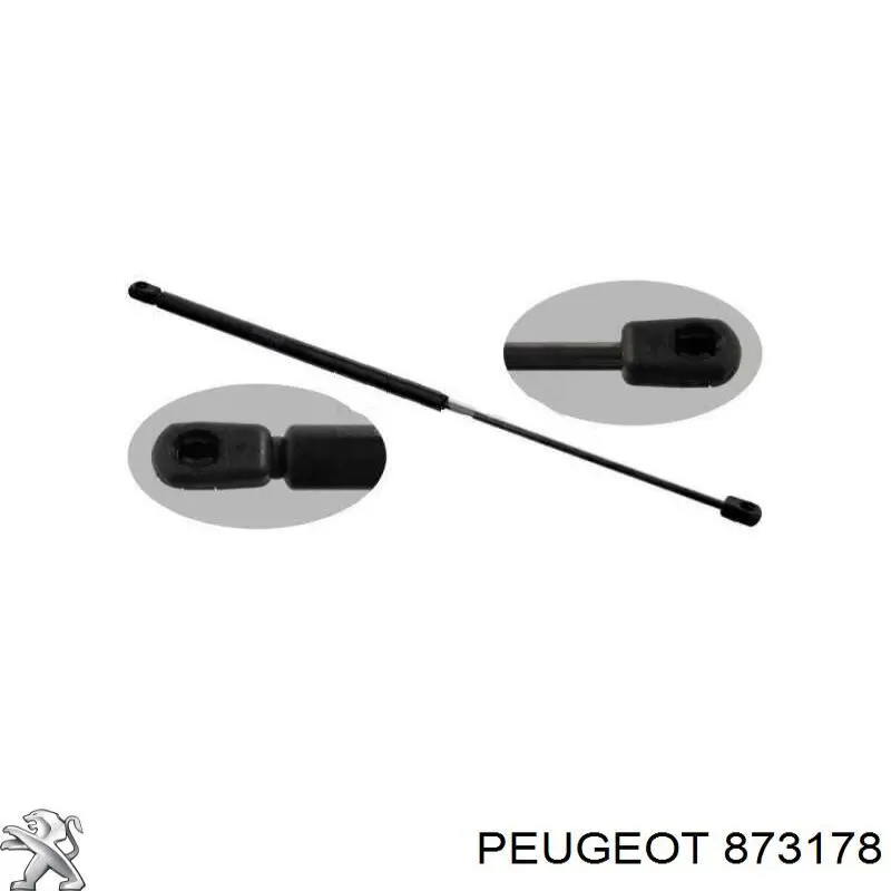 873178 Peugeot/Citroen Амортизатор крышки багажника