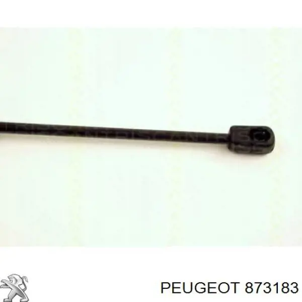 Amortiguador de maletero 873183 Peugeot/Citroen