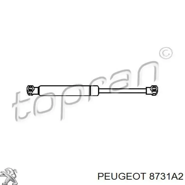 Амортизатор задней двери Peugeot/Citroen 8731A2 цена, от 6.82 USD