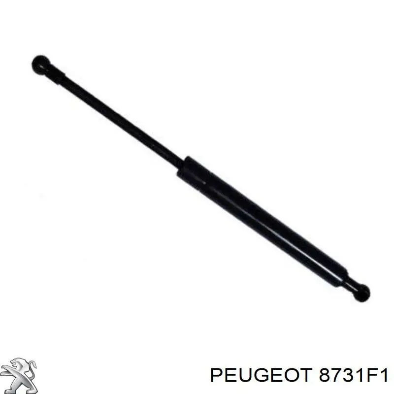 8731F1 Peugeot/Citroen