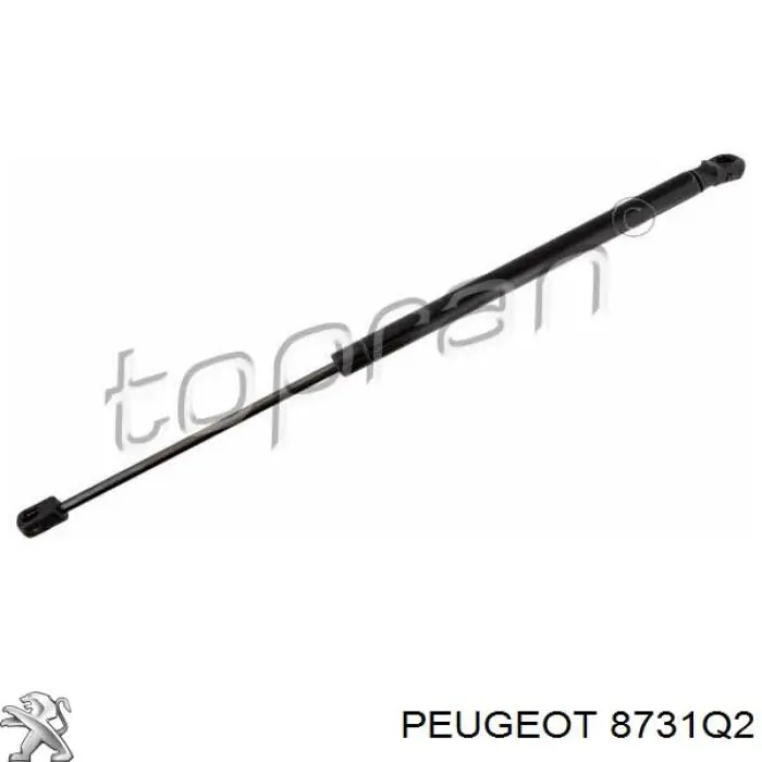 Амортизатор задней двери Peugeot/Citroen 8731Q2 цена, от 10.38 USD