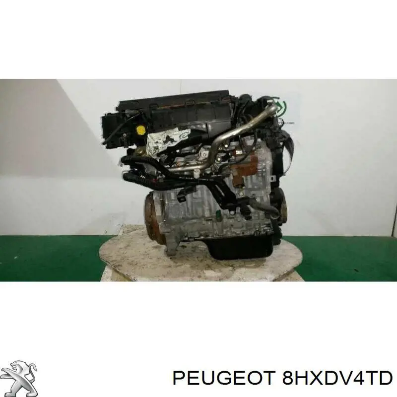 8HXDV4TD Peugeot/Citroen motor montado