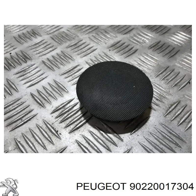 90220017304 Peugeot/Citroen 
