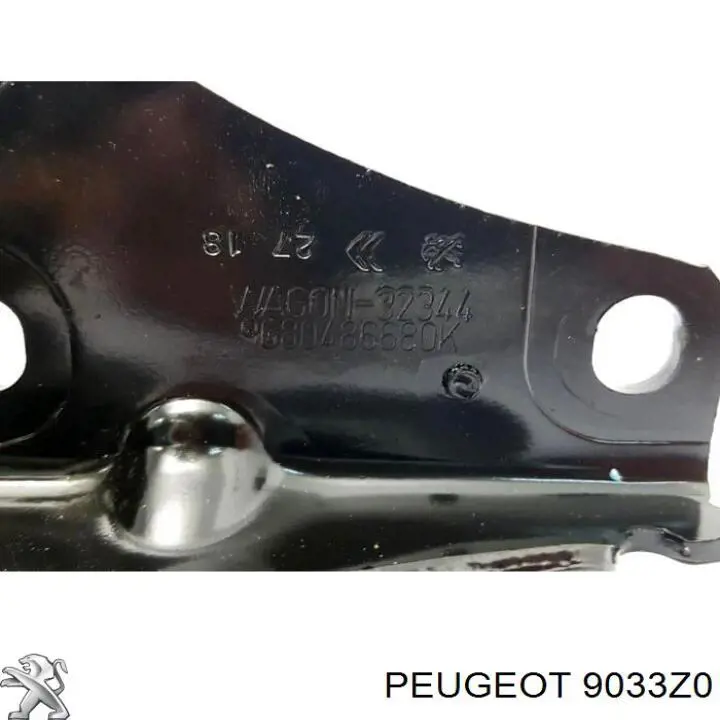 TR1254P Akkussan Ролик боковой (сдвижной) двери правый нижний