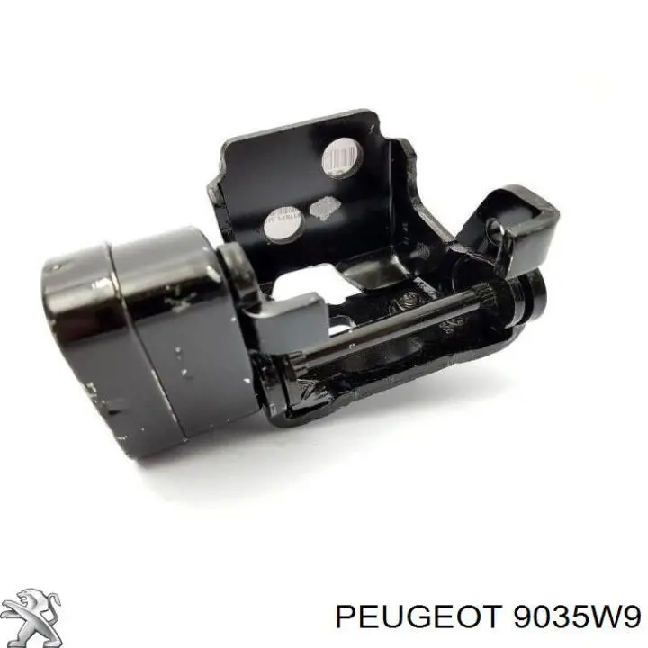 9035W9 Peugeot/Citroen Gozno da porta dianteira esquerda