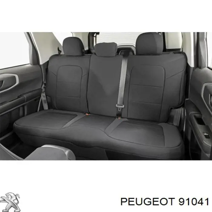  91041 Peugeot/Citroen