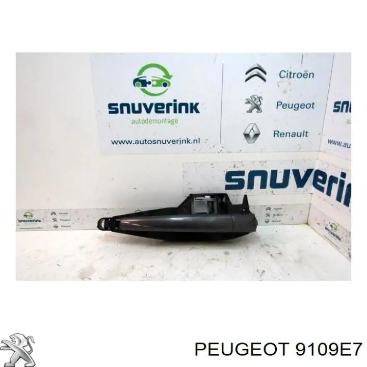 Ручка правой задней двери Peugeot/Citroen 9101CL цена, от 19.00 USD