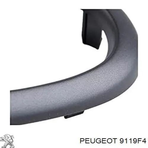  9119F4 Peugeot/Citroen