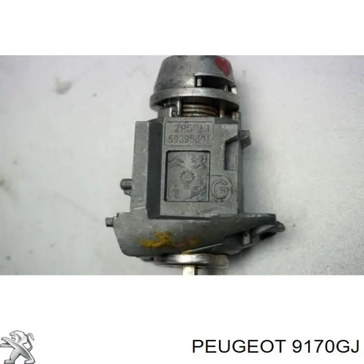 Личинка замка левой двери Peugeot/Citroen 9170GJ цена, от 110.13 USD