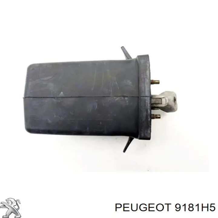 9181H5 Peugeot/Citroen Ограничитель открывания двери