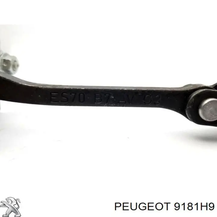 00009181H9 Peugeot/Citroen Ограничитель открывания двери