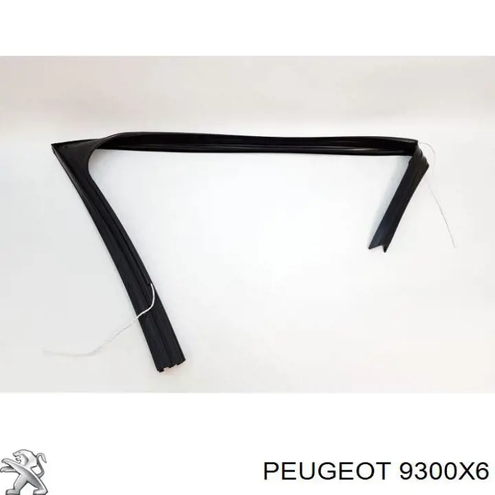 9300X6 Peugeot/Citroen 