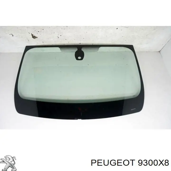 9300X8 Peugeot/Citroen 