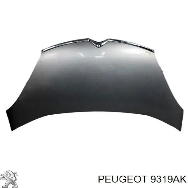  Peugeot/Citroen 9319AK цена, от 37.11 USD