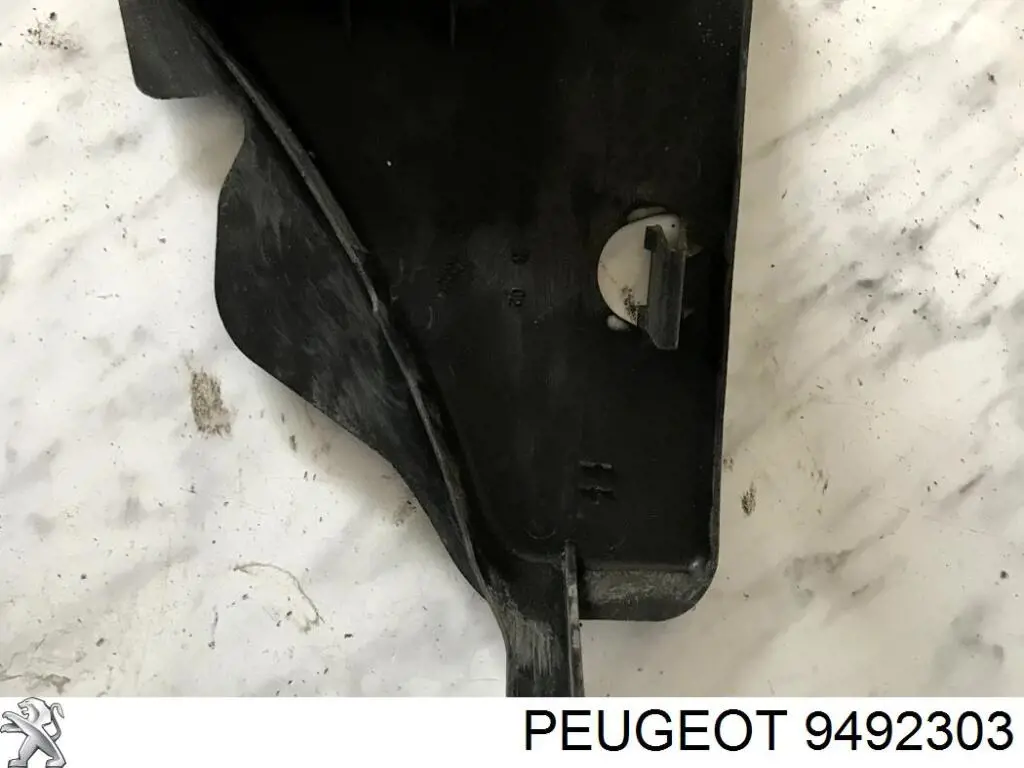9492303 Peugeot/Citroen 