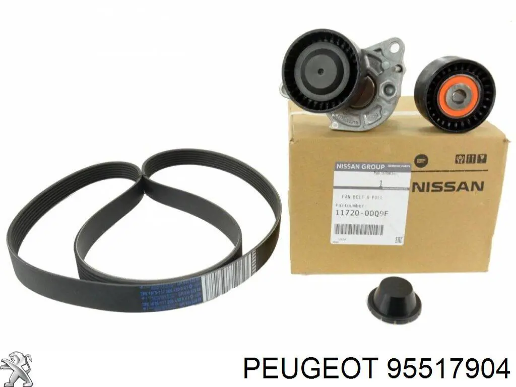 95517904 Peugeot/Citroen