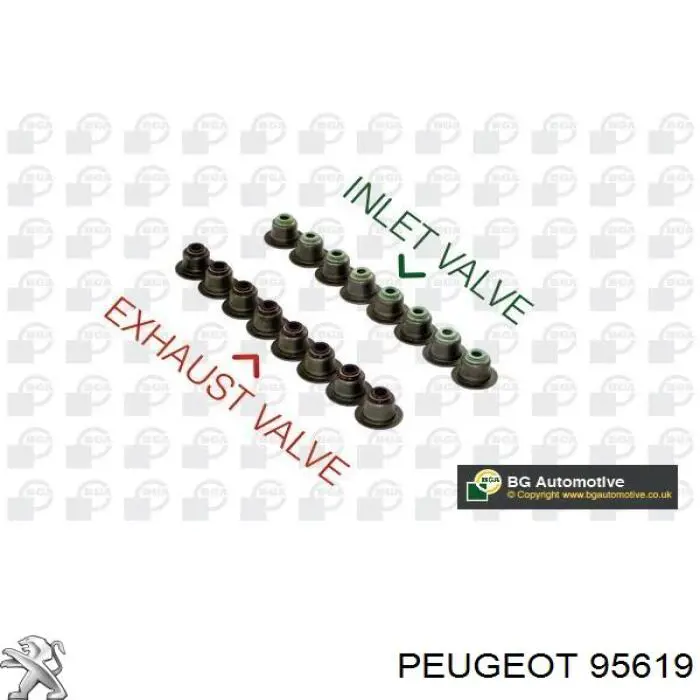 Sello De Aceite De Valvula (Rascador De Aceite) Entrada/Salida Kit De Motor 95619 Peugeot/Citroen