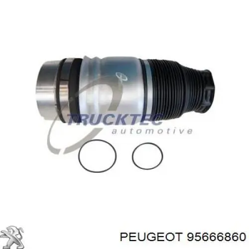 Гидроаккумулятор системы амортизации задний Peugeot/Citroen 95666860 цена, от 51.19 USD