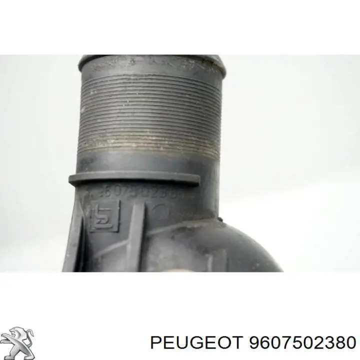 9607502380 Peugeot/Citroen 