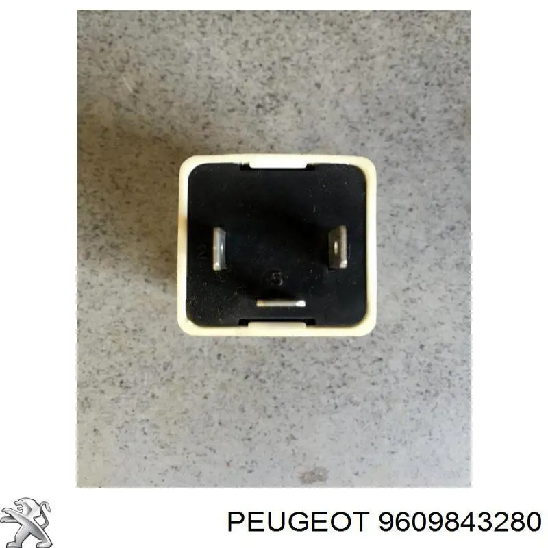 9609843280 Peugeot/Citroen 