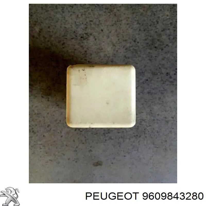 Купить 9609843280 Peugeot/Citroen 