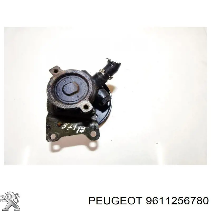  9611256780 Peugeot/Citroen