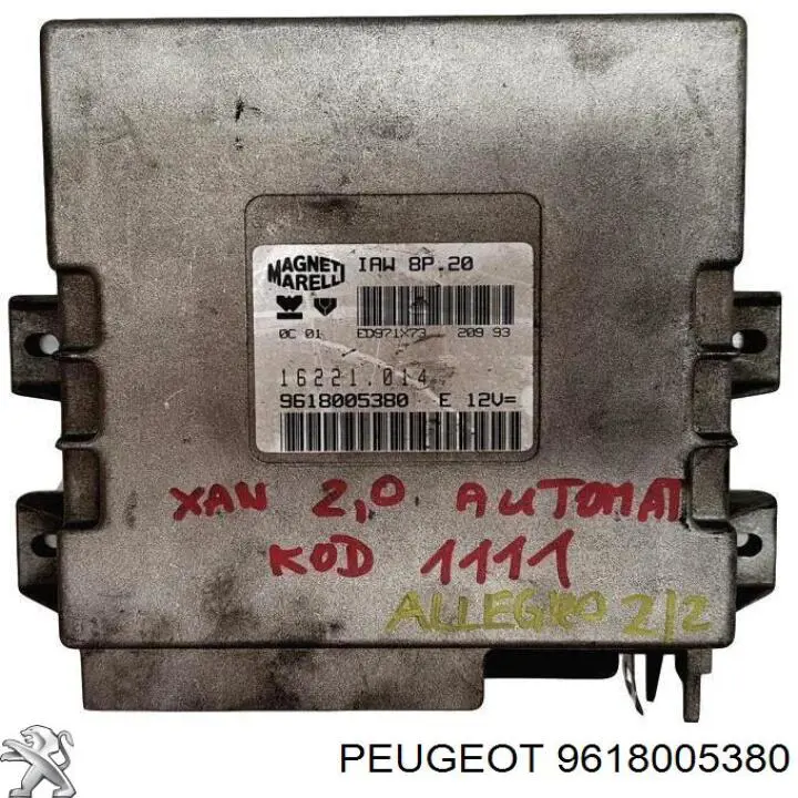 9618005380 Peugeot/Citroen 