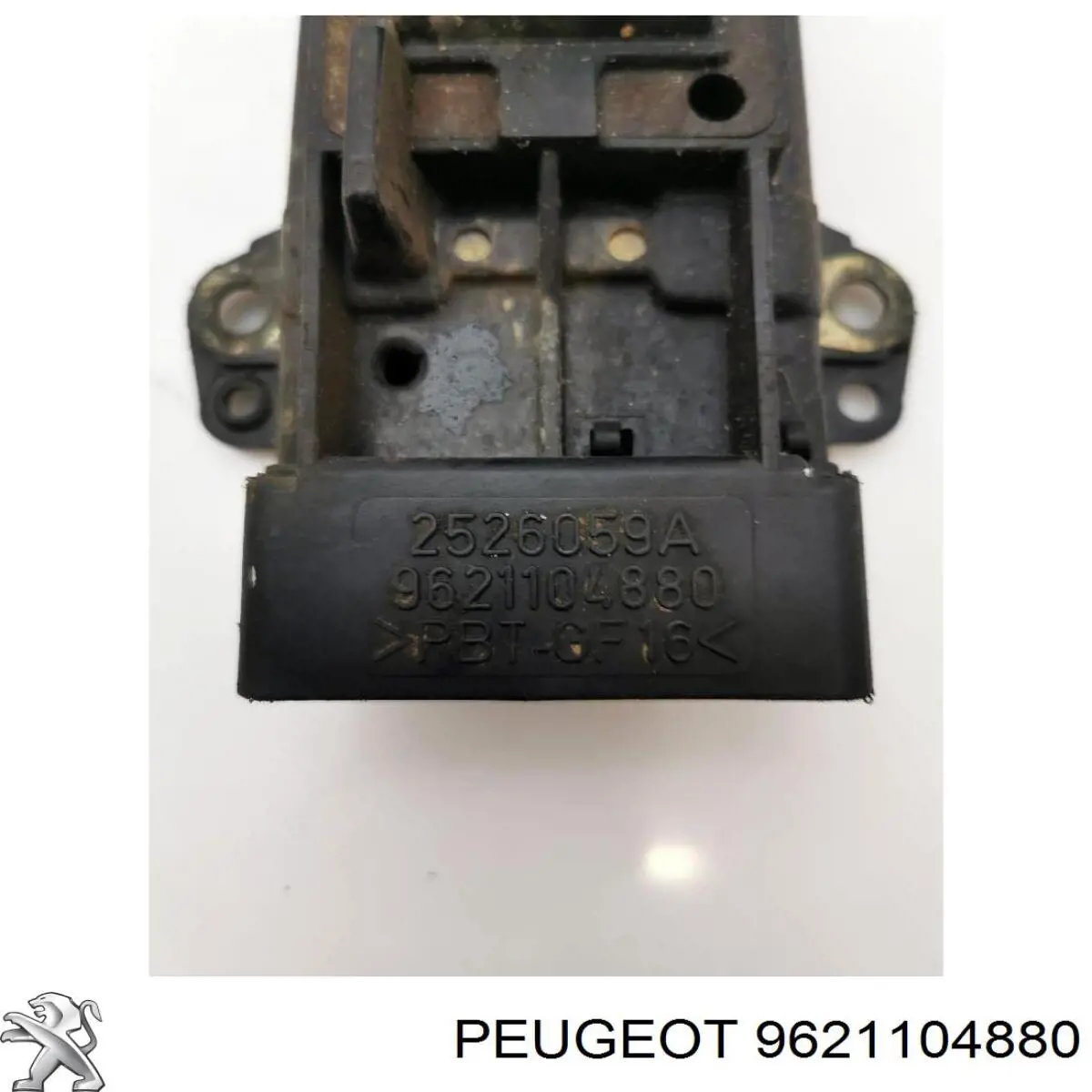 9621104880 Peugeot/Citroen 