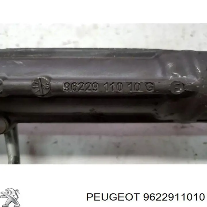 9622911010 Peugeot/Citroen 