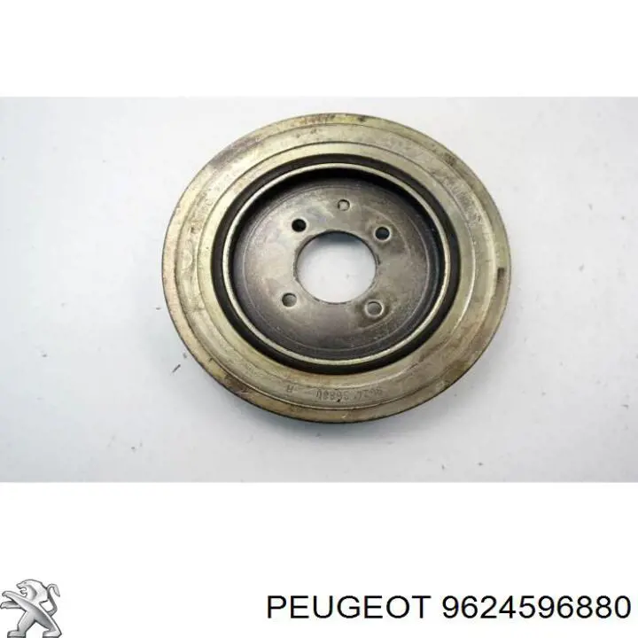 9624596880 Peugeot/Citroen polia de cambota