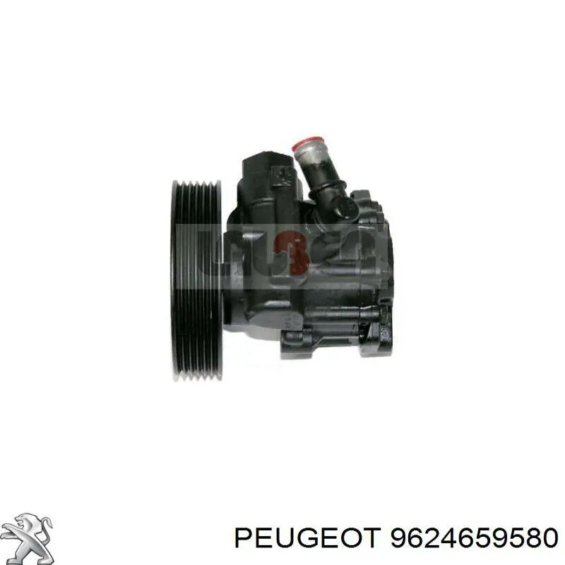 9624659580 Peugeot/Citroen bomba da direção hidrâulica assistida